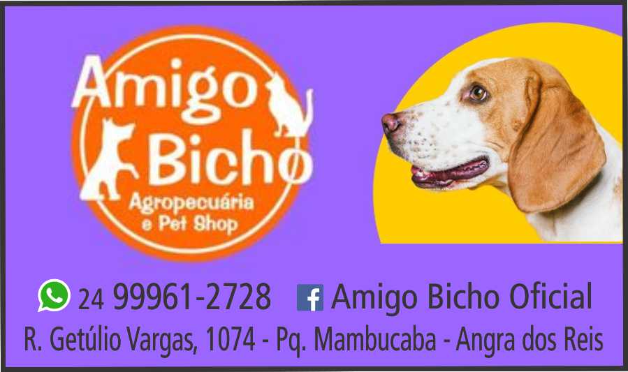 Onde Fazer Banho e Tosa Pet Shop Cidade Vargas - Pet Shop Perto de